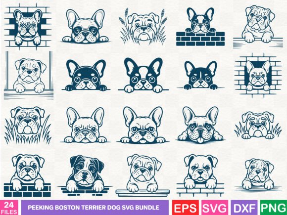 A Realistic Look at the Peeking Boston Terrier Embroidery Design