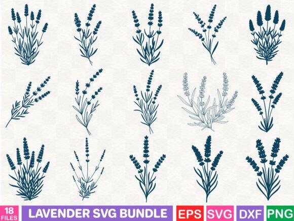 Lavender Graphics for Brand Identity and Illustrations